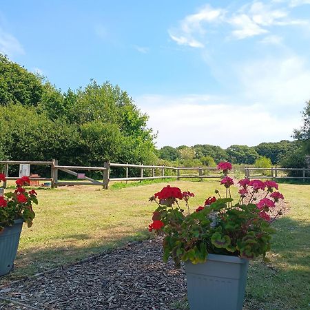 Cosy Cabins At Westfield Farm, Isle Of Wight Γιάρμουθ Εξωτερικό φωτογραφία