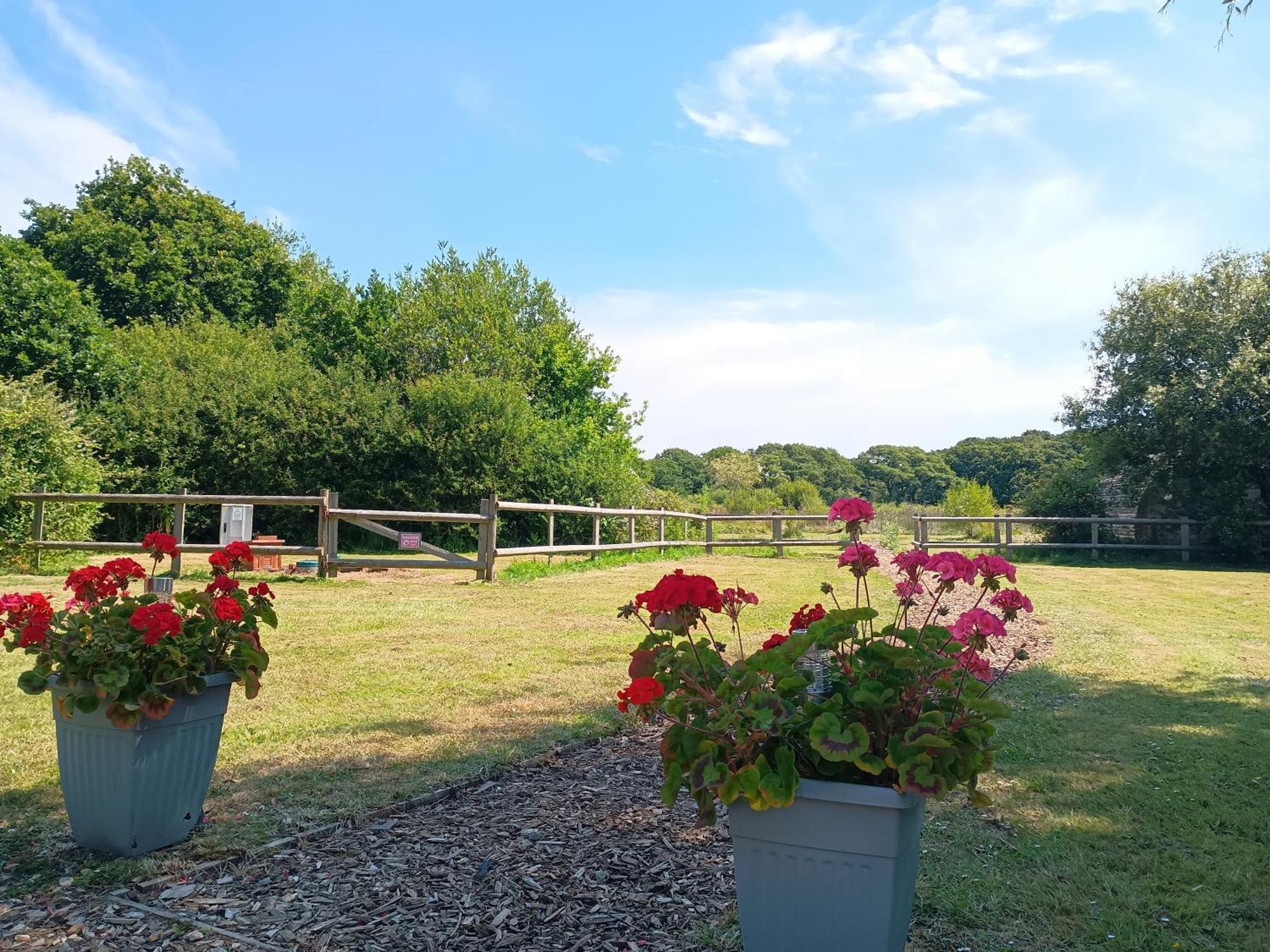 Cosy Cabins At Westfield Farm, Isle Of Wight Γιάρμουθ Εξωτερικό φωτογραφία